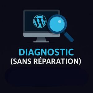 Diagnostic-simple-(sans-réparation)